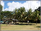 foto Flora e la Fauna alle Seychelles